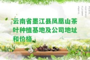 云南省墨江縣鳳凰山茶葉種植基地及公司地址和價格