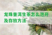 龍珠普洱生茶怎么泡開及存放方法