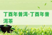 丁酉年普洱-丁酉年普洱茶