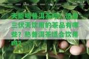 天能喝普洱茶嗎？適合三伏天飲用的茶品有哪些？熟普洱茶適合飲用嗎？