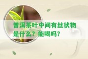 普洱茶葉中間有絲狀物是什么？能喝嗎？