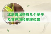 冰島普洱茶有幾個寨子及其產(chǎn)地和地理位置