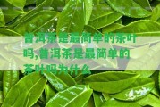 普洱茶是最簡(jiǎn)單的茶葉嗎,普洱茶是最簡(jiǎn)單的茶葉嗎為什么