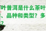 金葉普洱是什么茶葉品牌、品種和類型？多少錢？