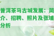 普洱茶馬古城發(fā)展：簡介、招聘、照片及張埔分析