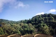 深山古茶普洱生茶357克價格，包含深山古韻和古樹普洱茶，不含無關(guān)字眼。