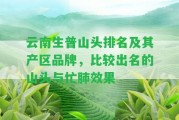 云南生普山頭排名及其產(chǎn)區(qū)品牌，比較出名的山頭與忙肺效果