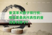 普洱茶大牌子排行榜：哪些是最具代表性的普洱茶大牌子？