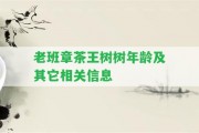 老班章茶王樹樹年齡及其它相關(guān)信息