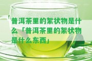 普洱茶里的絮狀物是什么「普洱茶里的絮狀物是什么東西」