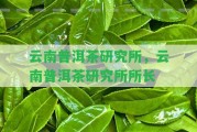 云南普洱茶研究所，云南普洱茶研究所所長(zhǎng)