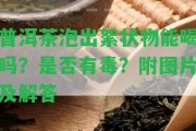 普洱茶泡出絮狀物能喝嗎？是不是有毒？附圖片及解答