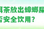 普洱茶放出蟑螂屎味，是不是安全飲用？