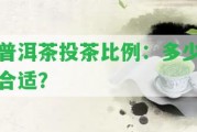 普洱茶投茶比例：多少合適？