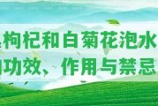 黑枸杞和白菊花泡水喝的功效、作用與禁忌