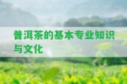 普洱茶的基本專業(yè)知識與文化