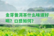 金芽普洱茶什么味道好喝？口感怎樣？