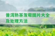 普洱熟茶發(fā)霉圖片大全及解決方法