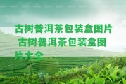 古樹普洱茶包裝盒圖片 古樹普洱茶包裝盒圖片大全