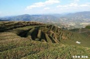 國(guó)飲天下普洱茶報(bào)價(jià)