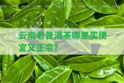 云南老普洱茶哪里買便宜又正宗？