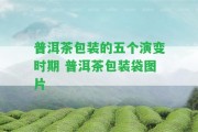 普洱茶包裝的五個演變時期 普洱茶包裝袋圖片