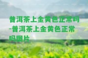 普洱茶上金黃色正常嗎-普洱茶上金黃色正常嗎圖片