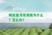 喝完普洱茶胃酸為什么？怎么辦？