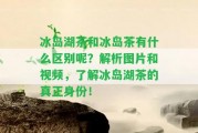 冰島湖茶和冰島茶有什么區(qū)別呢？解析圖片和視頻，熟悉冰島湖茶的真正身份！