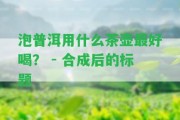 泡普洱用什么茶壺最好喝？ - 合成后的標(biāo)題