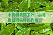 小青柑普洱茶葉「小青柑普洱茶葉的作用」