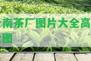 云南茶廠圖片大全高清大圖