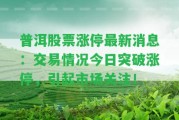 普洱股票漲停最新消息：交易情況今日突破漲停，引起市場關注！