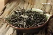 普洱茶樹種類有幾種及其樹型分類