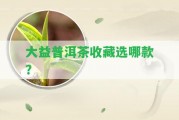 大益普洱茶收藏選哪款？