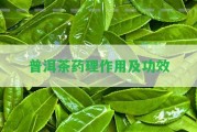 普洱茶藥理作用及功效