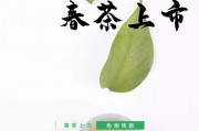 什么是茶道？