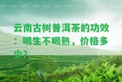 云南古樹普洱茶的功效：喝生不喝熟，價(jià)格多少？