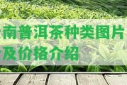 云南普洱茶種類圖片大全及價格介紹