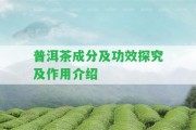 普洱茶成分及功效探究及作用介紹