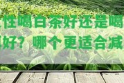 女性喝白茶好還是喝普洱好？哪個(gè)更適合減肥？