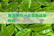 普洱茶放一會(huì)變黑還能喝嗎