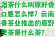 普洱茶什么叫原野香茶？口感怎么樣？云南原野香茶業(yè)推出的原野香野生茶是什么茶？