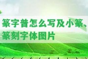 篆字普怎么寫及小篆、篆刻字體圖片