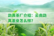 勐真茶廠介紹：云南勐真茶業(yè)怎么樣？