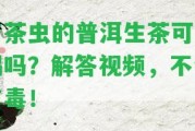 有茶蟲的普洱生茶可以喝嗎？解答視頻，不會(huì)有毒！