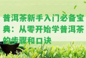 普洱茶新手入門(mén)必備寶典：從零開(kāi)始學(xué)普洱茶的步驟和口訣