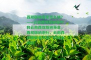 西雙版納茶業(yè)怎么樣？——云南西雙版納茶葉和云南西雙版納茶業(yè)，西雙版納茶葉，云南西雙版納普洱茶廠的綜合評(píng)價(jià)！