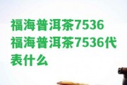 福海普洱茶7536 福海普洱茶7536代表什么