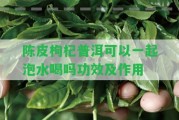 陳皮枸杞普洱可以一起泡水喝嗎功效及作用